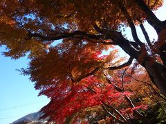 2013年　紅葉狩りとクラシックホテルの朝ごはん ～箱根～
