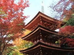 浄瑠璃寺の紅葉　京都府木津川市の浄瑠璃寺の見事な紅葉