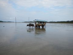 マイルで初沖縄☆離島まで行ってきました♪２日目は西表島・・午後はレンタカーで。