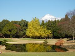 晩秋の富士山を撮る ！