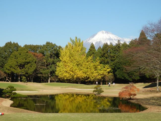最近は季節の移り変わりと、秋の深まりとともに富士山の積雪も白さを増し、黄葉と富士山の姿をもとめて富士川周辺をドライブする。<br />