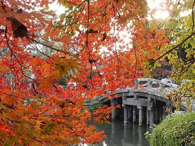 西鉄久留米（電車・バス）から徒歩で10分ほど、街なかにある中央公園・五穀神社は紅葉の名所としては無名ですが、とても美しいので、カメラを持って出かけました。いろはもみじの赤がとてもきれいでした。<br /><br />五穀神社の池の周りの紅葉、中央公園の郷学の森、石庭、久留米の姉妹都市である中国の合肥市から送られた中国式庭園の辺りの紅葉は特に美しいです。<br /><br />近くには久留米ラーメンを食べさせてくれる「大砲ラーメン」本店があります。