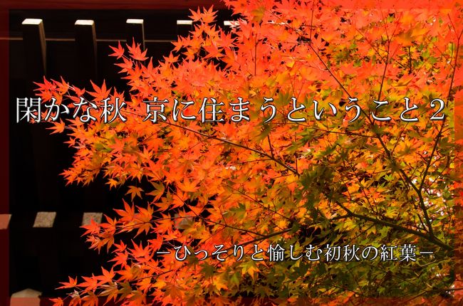 地元の人たちがひっそりと愉しむ京の紅葉。<br /><br />今回は第二弾です。<br /><br />観光客があまり訪れないけれど、<br /><br />紅葉はしっかり綺麗な場所を<br /><br />秋晴れの日を探して巡っています。<br /><br />京都に住まう、ならではの贅沢。<br /><br />そんな日常の風景を少しだけ<br /><br />みなさまにもお裾分け・・・。<br /><br /><br />それでは、錦秋の京都２・・・お楽しみ下さい。<br /><br /><br />★１１月２３日（土）<br /><br />古知谷阿弥陀寺→宝泉院→妙満寺→太田神社<br /><br />移動手段　自動車<br />所要時間　約５時間<br /><br />★１１月２６日（火）<br /><br />高野川→下鴨神社→鴨川→京都御所→二条城<br /><br />移動手段　自転車<br />所要時間　約１時間<br /><br />★１１月３０日（土）<br /><br />堀川通−堀川紫明<br /><br />移動手段　自動車<br />所要時間　１０分<br /><br /><br />「閑かな秋　京に住まうということ１」<br />http://4travel.jp/travelogue/10832740<br /><br />「閑かな秋　京に住まうということ２」<br />http://4travel.jp/travelogue/10834567