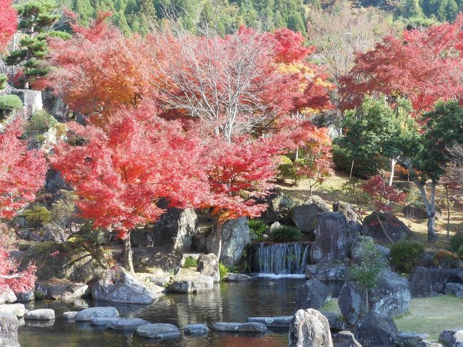 1987年に耶馬溪ダムの完成を記念して造られた日本庭園渓石園です。耶馬溪の石を12万個使いダムの水を利用して耶馬溪の渓流を再現しています。100種3万1000本の樹木、池、滝、岩などが四季折々にみごとな調和を見せる公園です。園の中はあちこちにモミジが真っ赤に色づいていて見応えがあり園内もだいぶ広くてゆっっくりと散策できます。渓石園のすぐ上が耶馬溪ダムになっていてここからの景色も綺麗です。あちこちが真っ赤に色づいていて最高の紅葉です。<br />ここを後にして一目八景に向かいます。昼過ぎだったので車が多くなかなか止めることができなく人混みでいっぱいでした。<br />展望台から景色を眺めながら写真を撮り早々と引き上げました。一目八景の紅葉も綺麗でした。