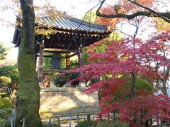 小さい秋を豪徳寺で