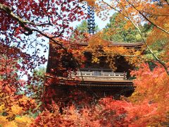 今が盛りの湖北と湖東三山の紅葉めぐり