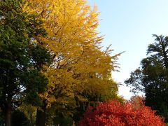 小さい秋を雑司ヶ谷霊園で