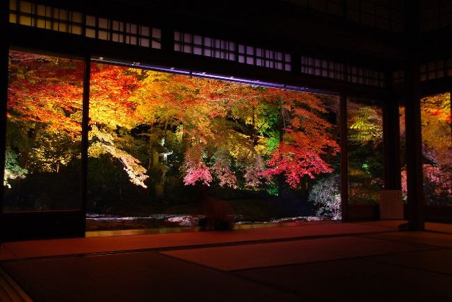 今秋、京都の紅葉巡りの２回目。<br />何気なく訪れた八瀬で目にしたのは今秋拝観を休止したはずの瑠璃光院ライトアップのポスターでした。<br /><br />大好きだった瑠璃光院の眺め。もう見れないと思っていました。<br />思わず予定を変更してチケットを購入。<br />「夢幻一夜の世界」を静かに味わうことができました。<br /><br />※京都巡り(２)はおってアップします。<br /><br />