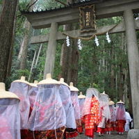 熊野古道　平安装束の行列を見に行こう～！大門坂、那智大社、那智の滝