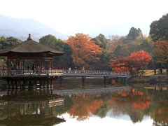 奈良公園の紅葉