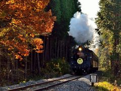 2013年紅葉名所巡り（９）　那珂川の紅葉と真岡鉄道ＳＬ