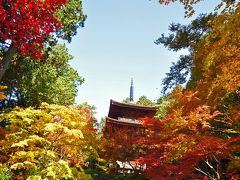 ゆく秋を惜しみながら、秋色の金剛輪寺