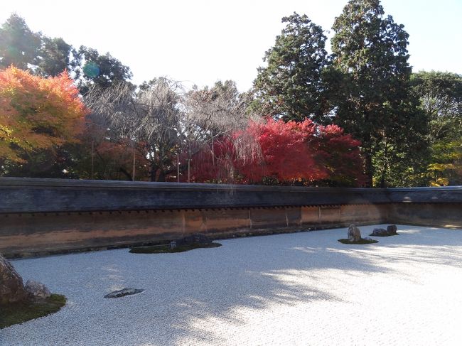 紅葉まっさかりの京都へ 龍安寺 北野天満宮へ 京都の旅行記 ブログ By ひとぴちゃんさん フォートラベル
