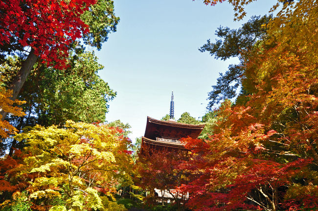 ゆく秋を惜しみながら、秋色の金剛輪寺