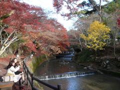 瀬戸・岩谷堂公園の紅葉