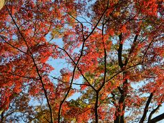 井の頭公園にて～　　①