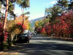 地元をふらりと紅葉見物