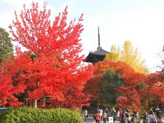京都の紅葉巡り2013　その（２）
