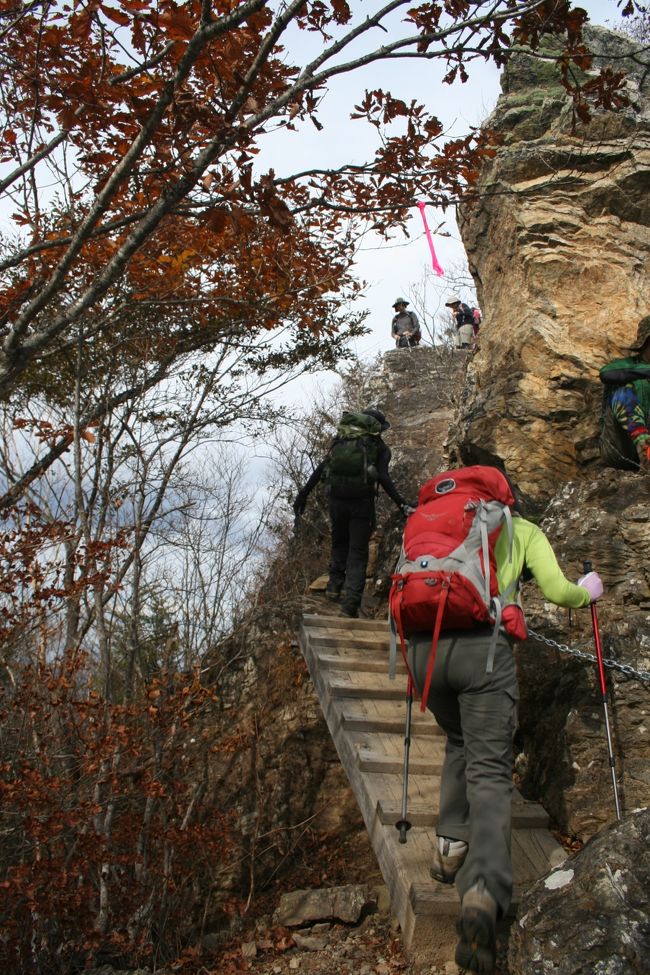 両神山に行って参りました。<br />『なんちゃって登山』のFitzでございます。<br /><br />同行者はタルトさんとトンさんです。<br /><br /><br />両神山 標高1723m 標高差1053m<br /><br />2泊概要<br />11月2日〜11月3日 民宿山里<br />一人一泊7000円<br /><br />11月3日〜11月4日 石和温泉花京<br />素泊まり 一人一泊5400円<br /><br />記録です。<br /><br />2013年11月3日登山 天候 曇り<br /> <br /><br />07時40分 民宿山里を出発<br />08時45分 日向大谷駐車場到着<br /><br />09時03分 日向大谷登山口を出発<br />09時43分 会所通過<br />11時17分 清滝小屋に到着 6分休憩<br />12時13分 両神神社通過<br />12時48分 両神山頂上到着<br />12時53分 下山開始<br />13時17分 両神神社通過<br />13時56分 清滝小屋に到着 20分休憩<br />15時40分 日向大谷登山口到着<br /><br />(登山開始より6時間37分経過)<br /><br /><br />旅行費用一人約23000円<br />ガソリン現地価格は1リットル159円でした。<br /><br />写真は両神山頂上付近<br /><br />鎖と友達になる楽しい山でした。<br /><br />