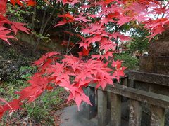 寂光院の紅葉　ＩＮ　犬山