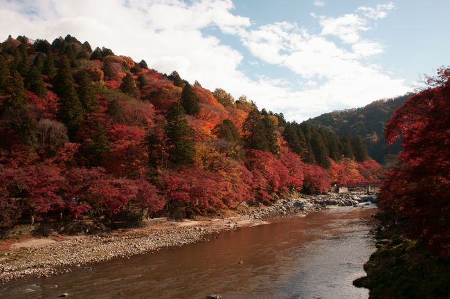 愛知県の紅葉ではベタな印象がある香嵐渓ですけど<br />やっぱり見応えはありますね<br />今日はピークをちょっと過ぎたくらいでした<br /><br />ココへ来るのに絶対通る国道153号線は<br />東側から来るとだいぶ手前から渋滞します<br />最盛期の土日は他の道で遠回りして西から来たほうが良いでしょう<br />駐車場は市営民営と徒歩圏内の色々な所にあり<br />どれも乗用車は千円だったと思います<br /><br />以前車で来た時平日でも渋滞がひどかったので<br />今回は自転車で行ってきました<br />が、時雨れてビショビショに・・・