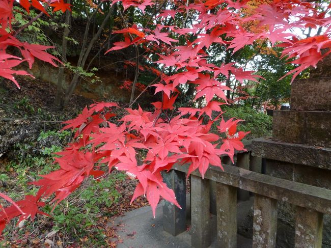 はっと気がついたらもう１１月の後半、１２月まであと幾日もない。<br />今年は紅葉を見にでかけていなかったわ。<br /><br />これからだんだんと寒くなると私もだんだんとコタツの奥にはいりっぱなしになる。<br />今のうちに紅葉を見に出かけよう。<br /><br />近場で名所はないかしら？<br />ＰＣで調べたら、まだ行ったことがない場所がある。<br />電話をしてみると、見ごろだというではありませんか。<br />ではレッツ・ゴー