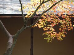 2013　秋の京都に美術と紅葉を求めて　No1/2　松花堂庭園