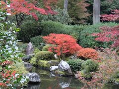 2013　秋の京都に美術と紅葉を求めて　No2/2　三室戸寺