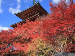京都を歩く(180) 紅葉を求めて洛北の裏道へ (上高野・修学院)