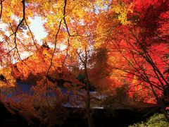 兵庫県・篠山・2013秋★「丹波篠山もみじ三山」訪問記