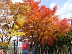 晩秋の紅葉２０１３