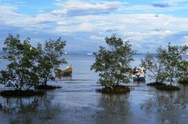 2012暮、マレーシア旅行記2(18/32)：12月17日(5)：ペナン島、ペナン大橋、河畔のレストラン、夕暮れ