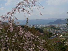 春、花と残雪の福島