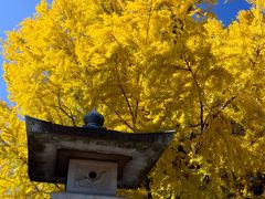 2013年紅葉名所巡り（１０）　足利の紅葉?　鑁阿寺と足利学校