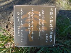 弾丸観光、世界遺産・美保の松原編♪