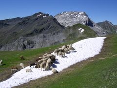 2013 チロル・ドロミテ・エンガディン旅行記　10　ハイキング in Klosters＆帰国