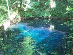 神秘の泉　十二湖の青池