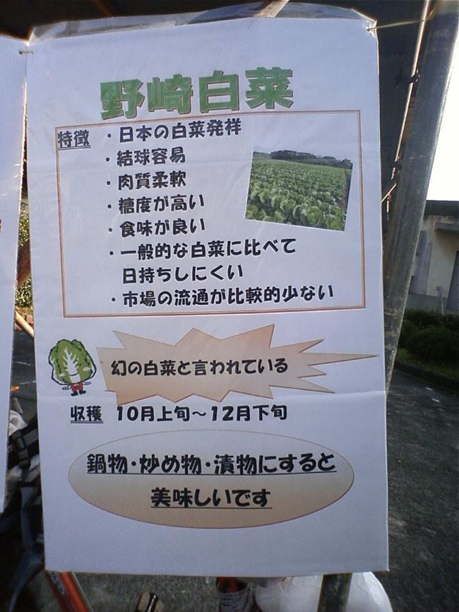 2013.11.17(日)本年度2回目の中川朝市が愛知県立中川商業高校にて行われましたので、出かけてみました。8時半ごろには野崎白菜は完売でありませんでした。もっと持ってきてね〜<br />次回12月8日(日)、1月12日(日)、2月16日(日)<br /><br />野崎白菜第3回はくちゃん祭りのスタンプラリー開催中2013年11月9日(土)〜1月15日(水)<br />http://www.hakuchan-club.com/