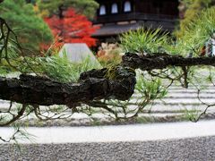 続、京都の紅葉！極上の秋巡り★銀閣寺＆知恩院