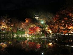 見たぜ！！　２０１３　京都府　『永観堂ライトアップ入場３０分待ち！！極楽橋写真撮影２０分待ち！！ライトアップはきれい♪』　ＩＮ　永観堂