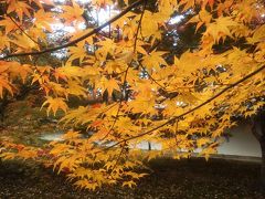 紅葉の京都市内旅行　二日目