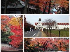 名古屋近郊の古刹紅葉（虎渓山・応夢山）