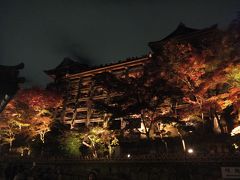 清水寺　夜の特別拝観　（紅葉ライトアップ）、京都の紅葉はやっぱりすごい！