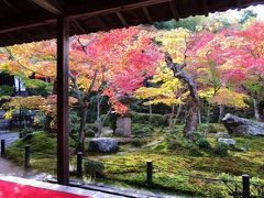 京都の紅葉、一乗寺～哲学の道～南禅寺を歩く！