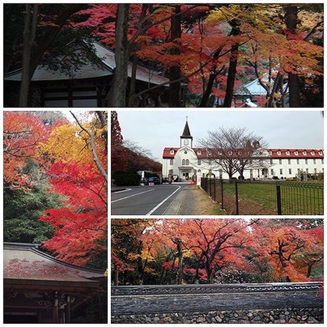 暑いころ訪れた古刹。　紅葉の頃に再び。<br />人ごみも無く渋滞も無く、時間を気にすることも無く、一日ゆっくりと楽しめた。<br /><br />京都で歩いた疲れがのこっている足にはちょっとこたえたが・・。<br />奥方も膝が・・・。<br /><br /><br />