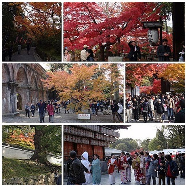 鎌倉で墓参を済ませ、母者を京都に送る。<br />翌日散歩に出た。お昼を食べに行く店で京都紅葉情報を求められたので縄張りを歩いてみる。<br />六時間ほどでどれくらい行けるだろうか。<br />