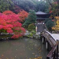 ２０１３年紅葉の京都を歩く（八坂神社、円山公園、知恩院）