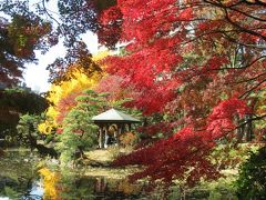 ’１３　紅葉さんぽ　日比谷公園編