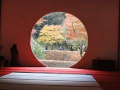 鎌倉明月院の紅葉