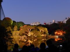 東京のお薦め夜景　六義園の紅葉